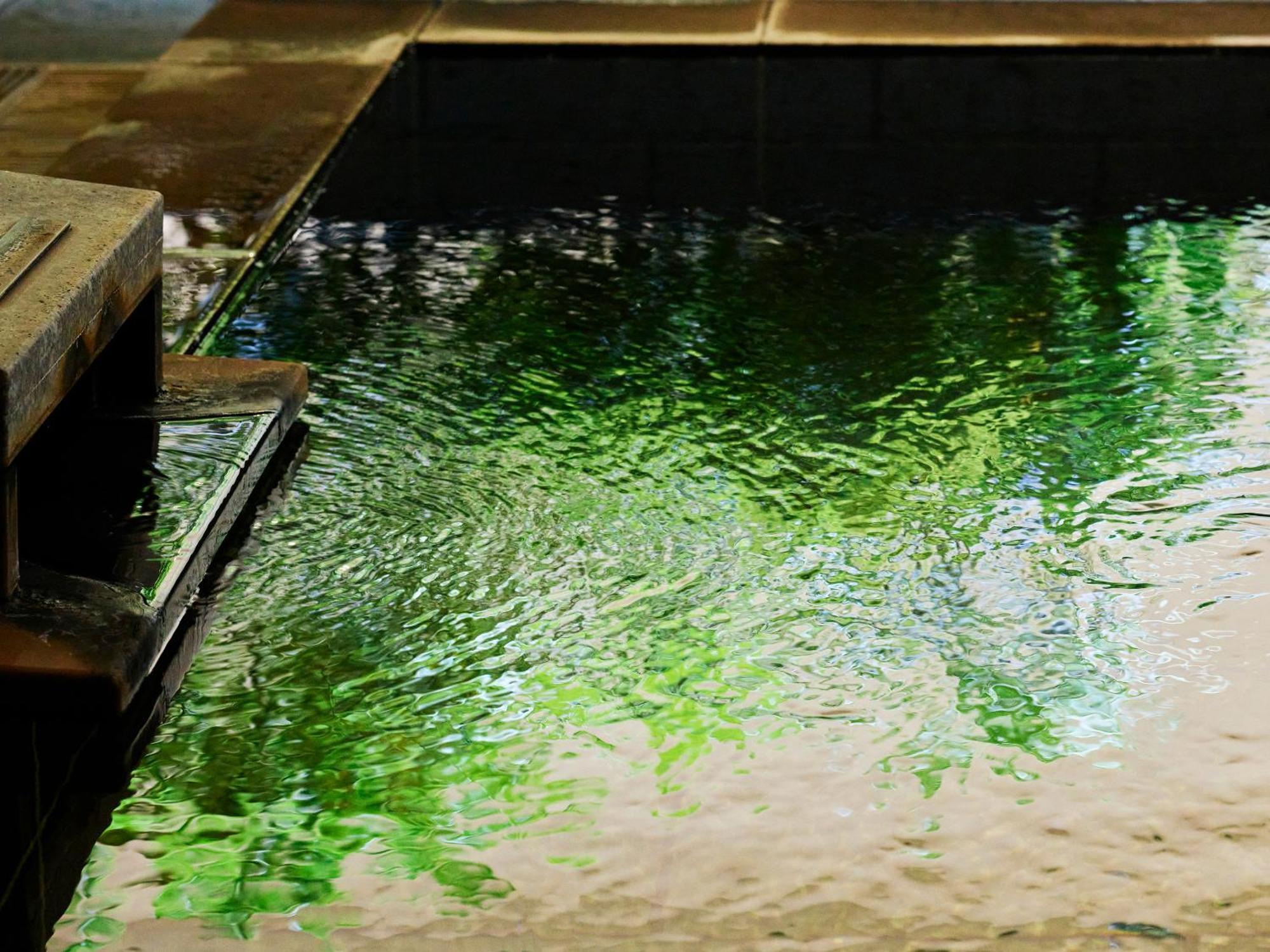Mitsui Garden Hotel Kashiwa-No-Ha - Chiba מראה חיצוני תמונה